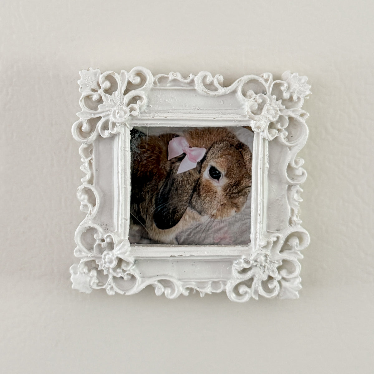 Customizable Fridge Magnet